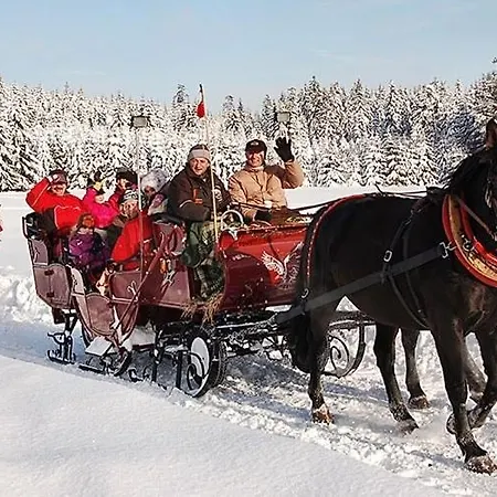 Ξενοδοχείο Berglandstuebel Hammerbrucke
