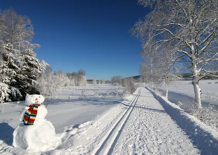 Hotel Berglandstübel